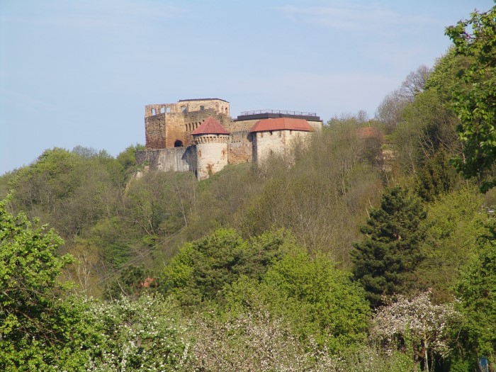 Ruine Hohen Rechberg