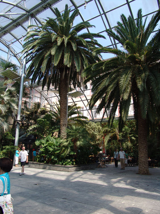 Palmengarten