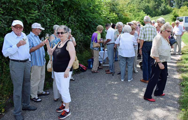 Weinprobe in den Weinbergen oberhalb Neipperg