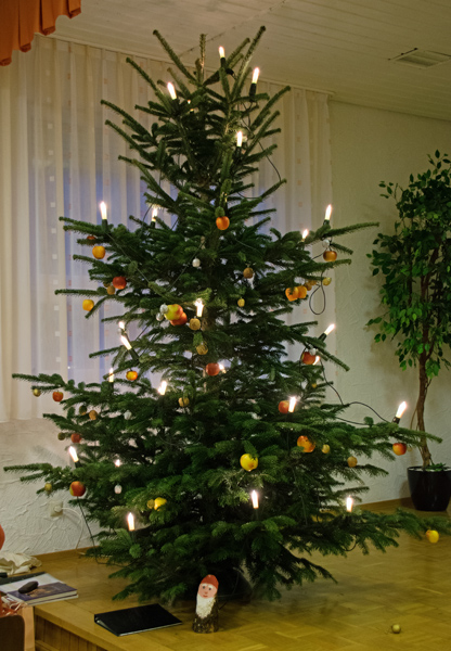 Weihnachtsbaum