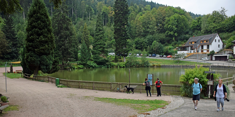 Bergsee Triberg