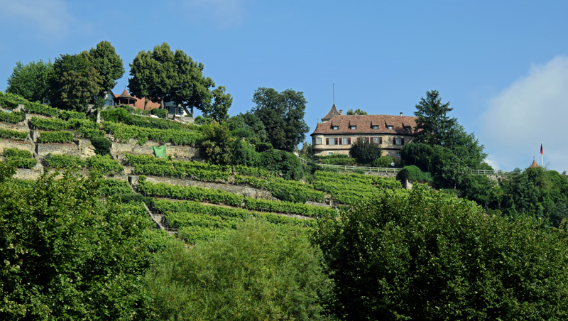 Schloss Kleiningersheim