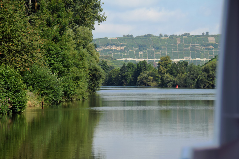 Auf dem Neckar durch die Weinberge