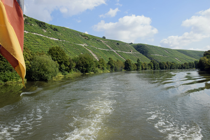 Auf dem Neckar durch die Weinberge